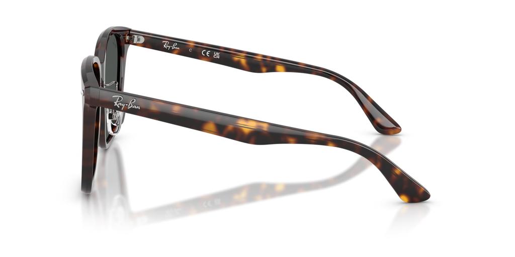 Sunglasses 0RB2206D HAVANA DARK GREY Asian Fit Polarized [Ray-Ban] 710/8757