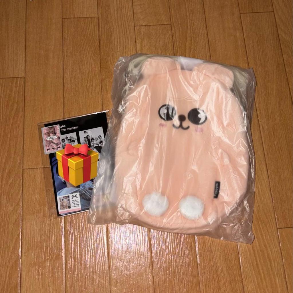 Used Stray Kids Multi-pouch