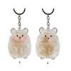 Pet Lover Gift Hamster Hair Keepsakes Keychain Reusable Acrylic Bottle Hangs On Bags Backpacks Jewelry
