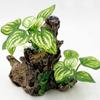 Big Sunken Wood Cave Decorations Plastic Hide Toy Climbing Hideout House  Fish Tank