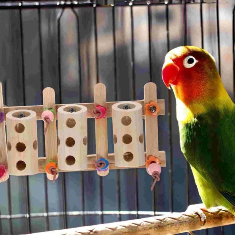 

Wooden Bird Feeding Box Bird Supplies Nut Feeding Bucket New Parrot Foraging Bucket