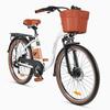 Electric Bike DYU C6 Pro 26" 250W Motor 15.6AH Max Range 80Km Load 120Kg White