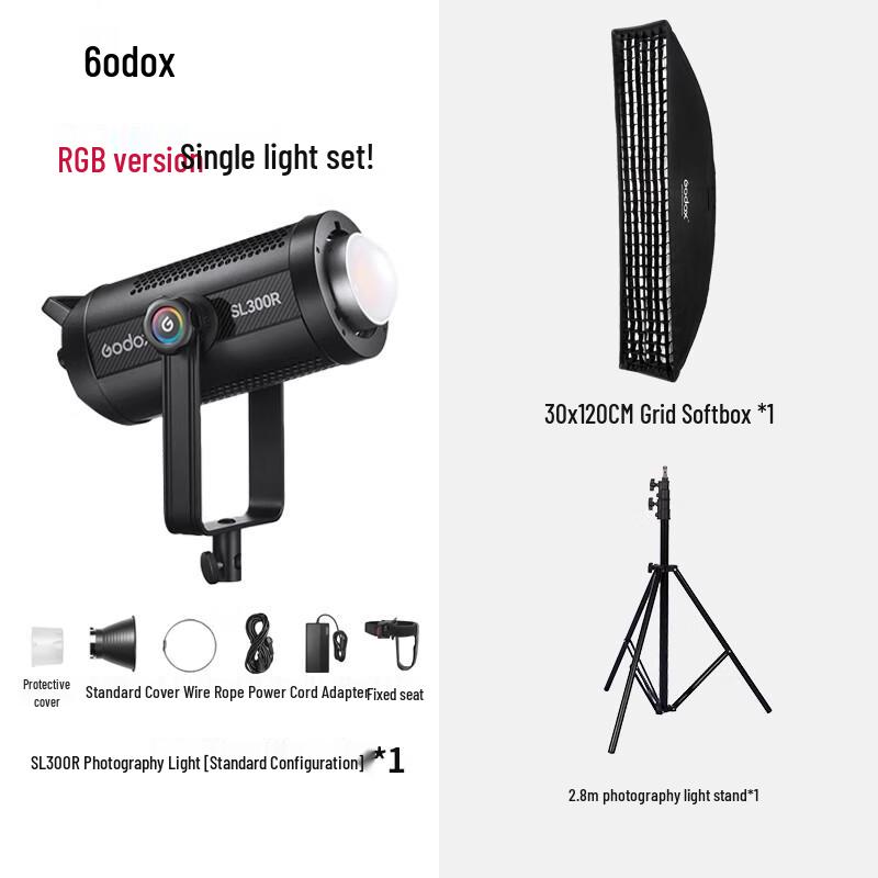 Godox SL300R Bi-Color LED Studio Video Light Kit