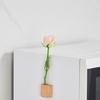 2Pcs Elegant Magnetic Test Tube Vases for Displaying Flowers On Fridge or Metal Surfaces Flower Arrangement Mini Planter