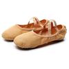 Bo Zong Stretch Fabric Dance Shoes
