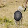 Für Hund, Kapuze Komfort Atmungsaktiv Schutz Netz Hundegesichtsschutz Wandern Outdoor
