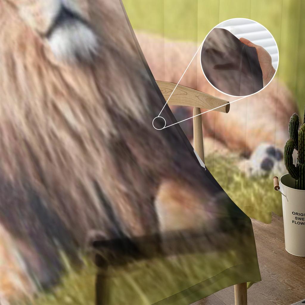 Großer Löwe liegt auf Savannengras Tüll Transparent Vorhänge für Wohnzimmer das Zimmer Schlafzimmer Küchendekoration Voile Organza Vorhänge