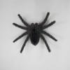 Funny Halloween Plush Spider Pendants Fake 3D Flocking Black Spider Realistic Cartoon Artificial Spider Learning Toys