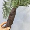 Artificial Green Persian Fern Leaf for Landscaping & Photography Props
