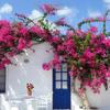 1PC Realistic Artificial Flowers UV Resistant Fake Silk Silk Bougainvillea Climbing Plant 80cm Long Trailing Bougainvillea Vines