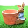 Shinshin Boeki Blumentopf Peter Hase Blumentopf für eine Person 13 x 11 x 8540526 ca.. 16.5cm