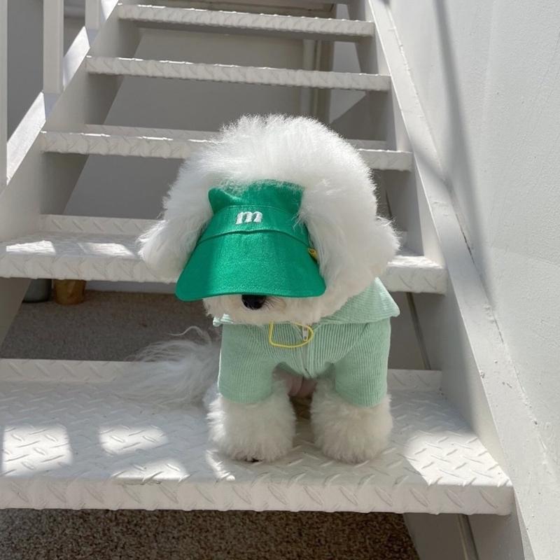 Embroidery Pet Sun Hat For Dog Cats With Adjustable Belt Breathable Headwear Sunproof Hat Pet Fashion Accessory