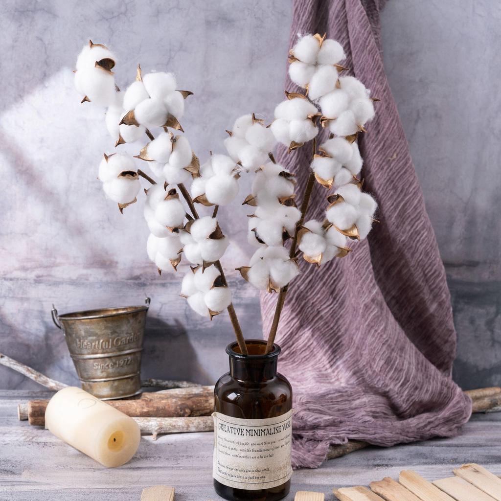 10-Head Natural Cotton Branches for Wedding Decoration Simulation Flowers Green Plants Handicrafts INS
