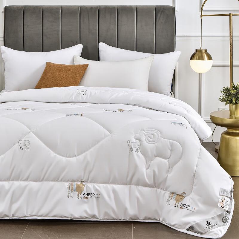 Yinxiangji Selected Thick Warm Wool Quilt