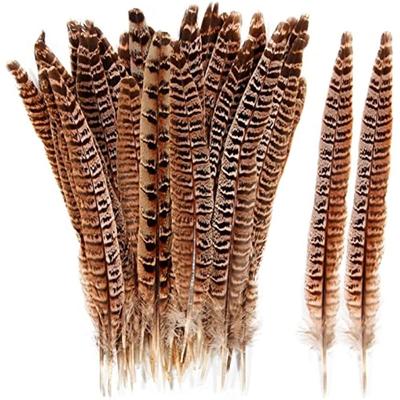 15-20 cm přírodní peří, vhodné pro řemesla, domácnost, svatbu, párty, show, DIY dekorace, bažantí peří