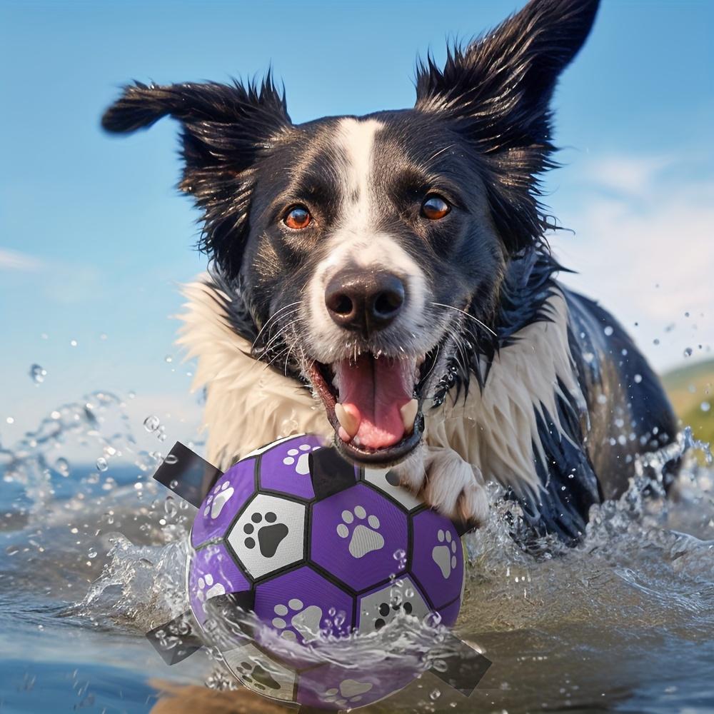 Durable Rubber Dog Soccer Ball with Straps - Interactive Chew-Resistant Pet Toy for All Breed Sizes, Purple &Black with Paw Print Design,Dog Ball Toy
