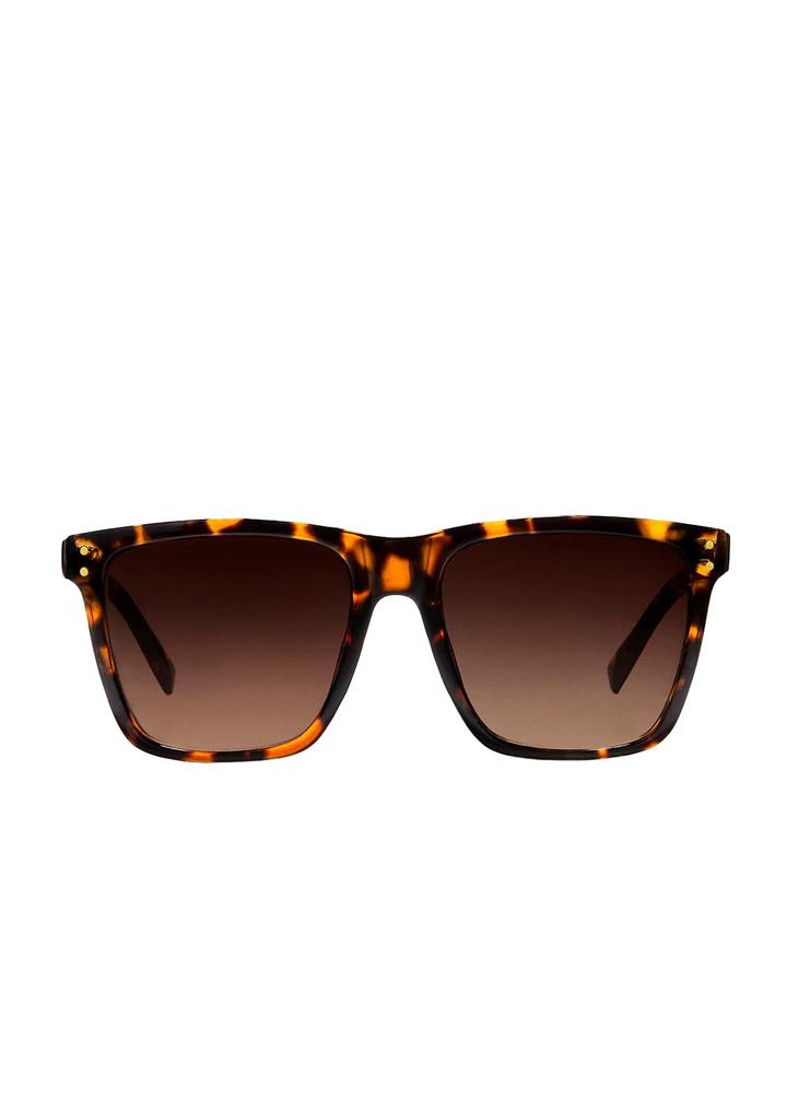 Dee Franklin Roosevelt II Sunglasses, Carey/Brown, DFKSUN0717-0802