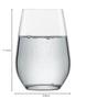 [Officially Imported] SCHOTT ZWIESEL Vigna Tumblers, 397ml, Clear, Set of 2, Dishwasher Safe, P117875