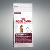 Croquette Pour Chien - ROYAL CANIN - EXIGENT Aromatic - 400g