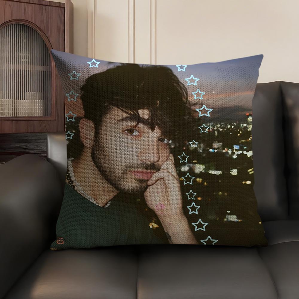 Internet Celebrity Fede VVigevani Cushion Cover Natural Linen Organic Fabric DoubleSided Printing Sofa Home Decor Pillow Case