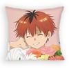 Stark Anime Frieren Pillow Case Sofa Living Room for Bedroom car Headboard Backrest Cushion Square Cushion Nap Time