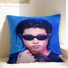 I-lngshot LOUIS Pillow Cover Fashion Pillow Case For Sofa Car Home Decor Custom Pillowcases Gift