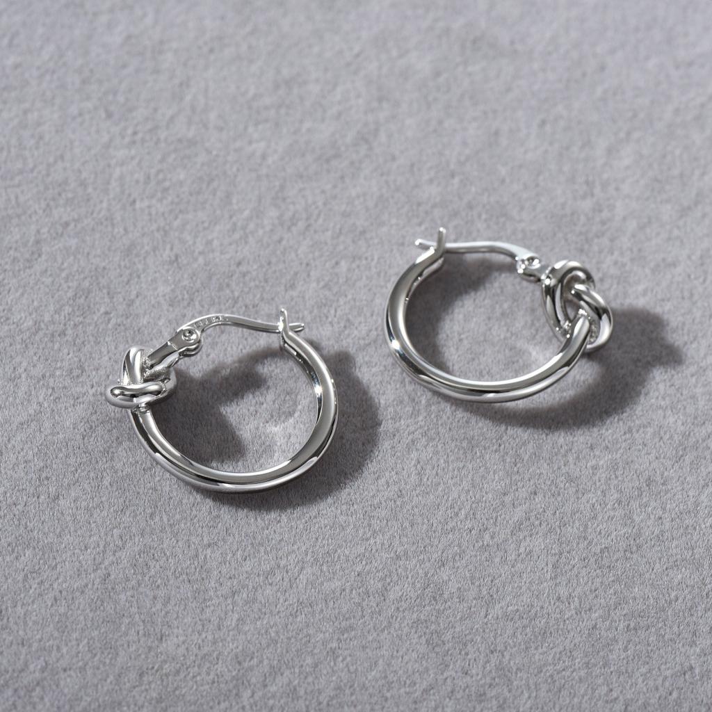 Simple Personalized Knotted Ear Buckle Rope Knot Concentric Knot Earrings Light Luxury Niche High-End Minimalist Cold Wind Earrings