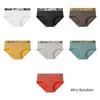 4Pcs Low Waist Women Cotton Panties Set Cotton Crotch Letter Underpants  Adolescent