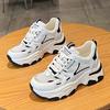 Inner heightening dad shoes women's tide 2025 new autumn mesh breathable versatile casual sports shoes