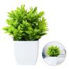 Courtyard Artificial Bonsai Faux Plants Garden Home