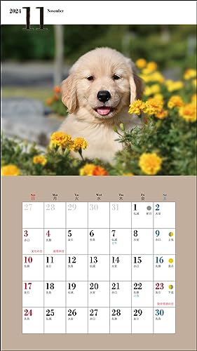 2024 Calendar Cute Golden Retriever (Seibundo Shinkosha Calendar)