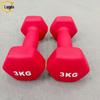 Dip-Coated Hexagonal Dumbbells