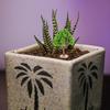 NOLITOY Miniature Tree Models - Street Trees, Landscape Trees, Diorama Trees, Garden Trees, Sand Table, Home Decoration, Miniature Garden Ornament -