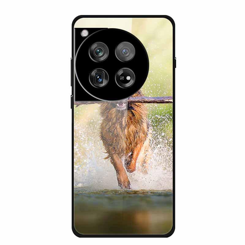 Personalized Seven-Colored Tempered Glass Phone Case for OnePlus 12 - Unisex