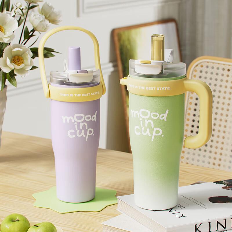 Wushengwu Stainless Steel Insulated Straw Cup