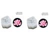 Succulent Plants Fondant Silicone Mold 3d DIY Candle Clay Resin Plaster Chocolate Wax Mould Flower Decorative Molding