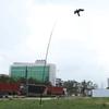 6m Bird Scarer Repeller Farmer Crops Protecting Kite Bird Repeller Kite