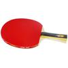 DHS H1002 1-Star Table Tennis Bat Set for Beginners