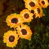 Waterproof Solar Sunflower LED Light Realistic Solar Stake Light Landscape Lawn Lamp  Patio Walkway