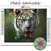 5D Diy Diamant Malerei Tier Weißer Tiger Kreuzstich Voller Diamant Stickerei Mosaik