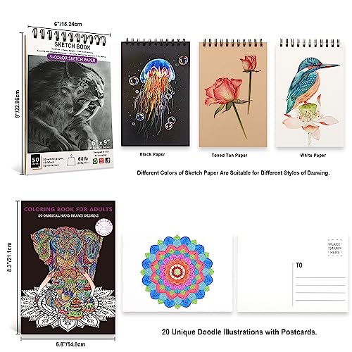 HIFORNY 80 Colored Pencil Set for Adults, 72 Colors, Includes 3 Color Sketchbooks, 0.5mm Mechanical Pencils, and Colorless Blender