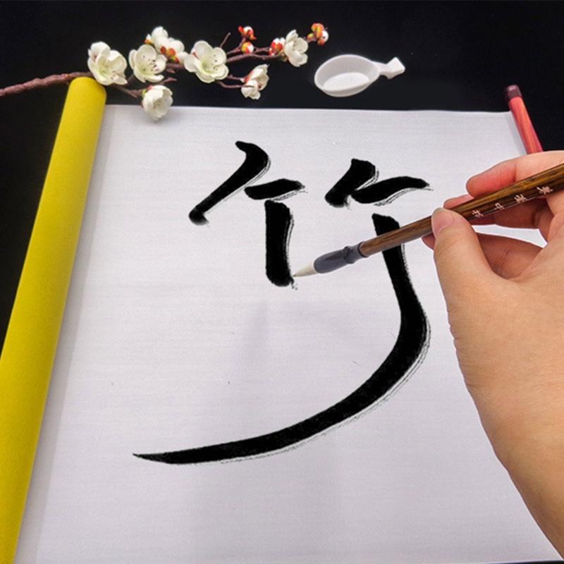 Återanvändbart kinesiskt kalligrafi-vattenpapper Kinesisk kalligrafi-övningsbok Rutigt vattenpapper för kalligrafi