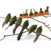 12/1PS Artificial Feather Robin Bird Ornament Christmas Tree Decoration Craft Valentine's Day Wedding Home Outdoor Yard Ornament