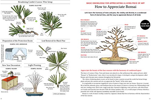 Introduction To Bonsai: The Complete Illustrated Guide for Beginners (with Monthly Growth Schedules and Over 2,000 Illustrations)