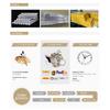2026 Unique Design Simple Style Customized Waterproof Manual Spring 100% Aluminum Venetian Blinds