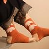 Author Matthias Larrain, Oiseaux Socks