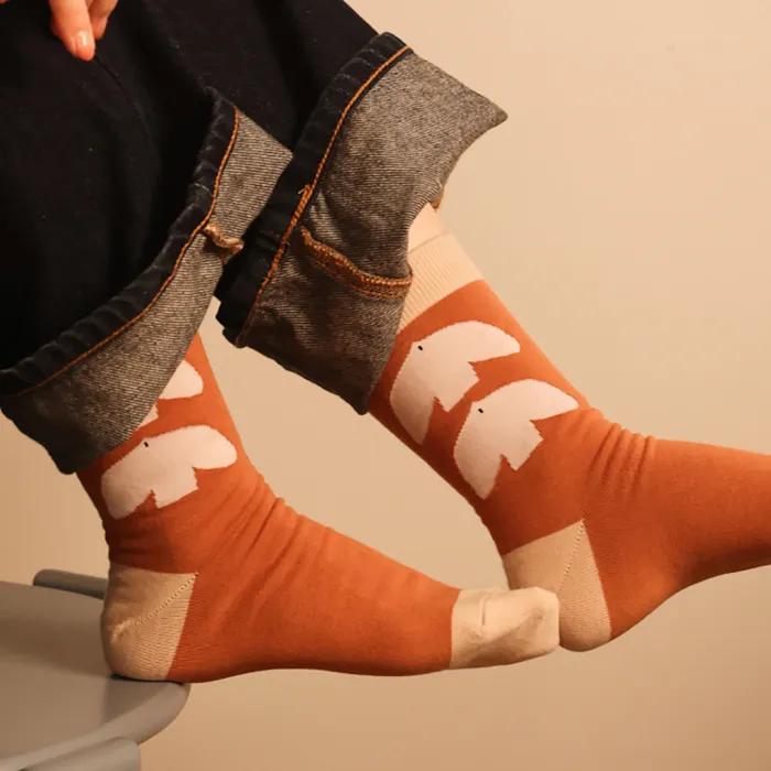 Author Matthias Larrain, Oiseaux Socks