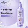 Schwarzkopf Repair Shampoo & Hair Oil Set