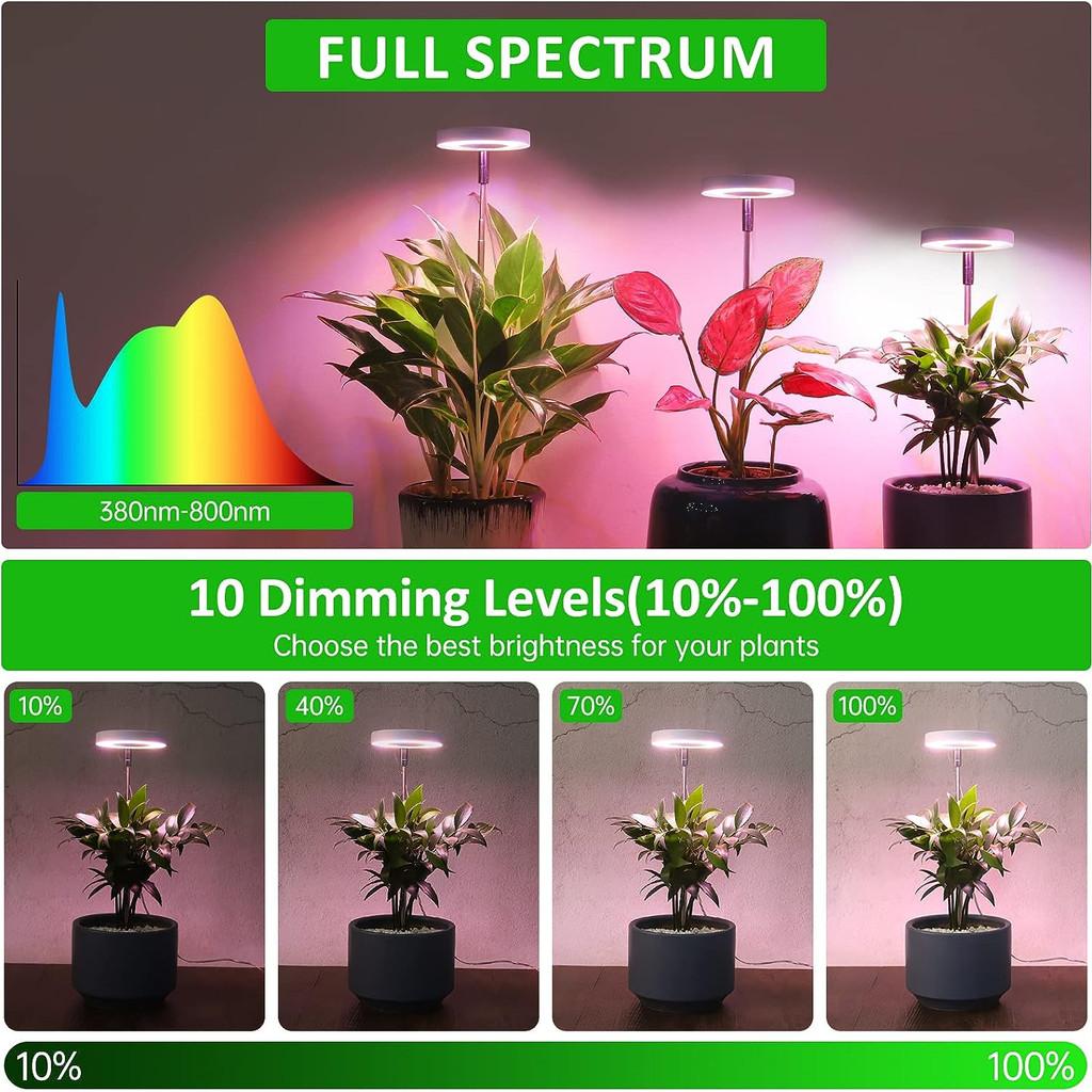 5V Household Full Spectrum Timeable LED Plant Light Adjustable Growing Lamp Height Indoor Plants Grow Light