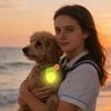 Wiederaufladbarer LED-Leuchtanhänger für Haustiere - Hunde-Nachtsicherheitslicht zum Spazierengehen, -Verloren, Universelle Passform